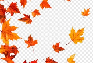 falling autumn leaves vibrant seasonal design 191095 84158 1